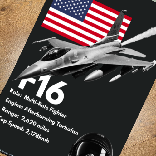 *NEW* F16 Fighter Rug