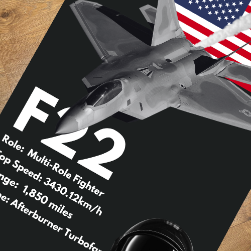 *NEW* F22 Rug