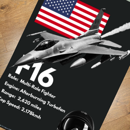 *NEW* F16 Fighter Rug