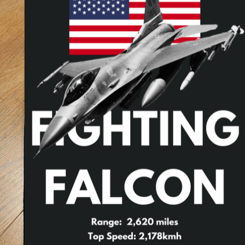 *NEW* Fighting Falcon Rug