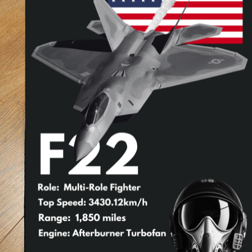 *NEW* F22 Rug