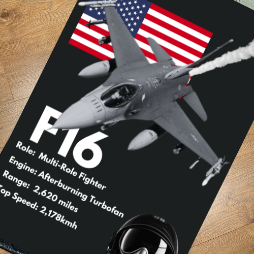 *NEW* F16 Rug