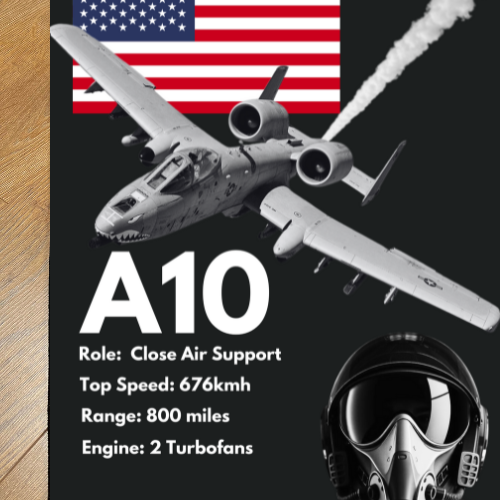 *NEW* A10 Rug