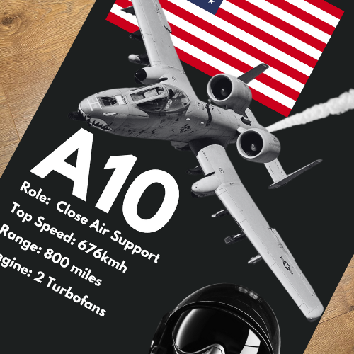 *NEW* A10 Rug