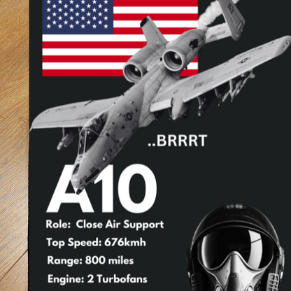 *NEW* A10 Jet Rug