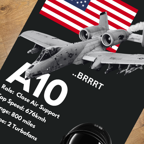*NEW* A10 Jet Rug